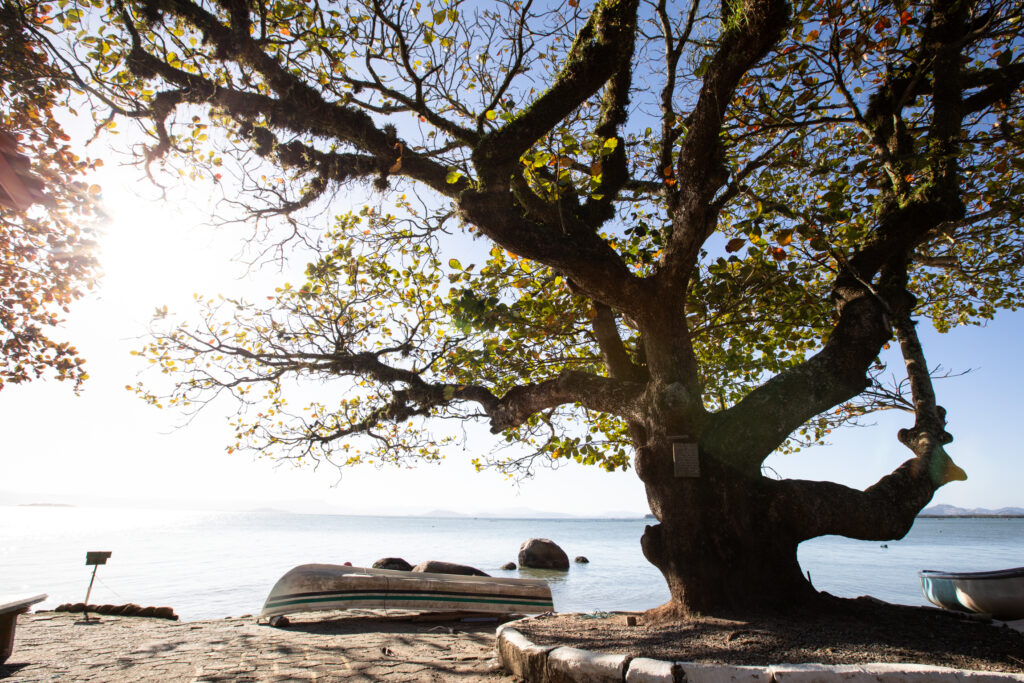 Praia do Ribeirão da Ilha