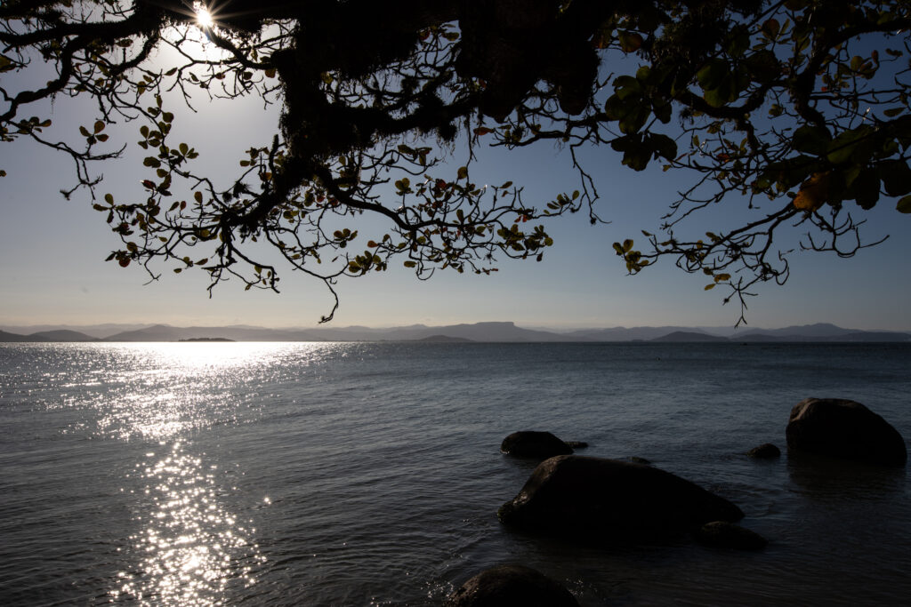 Passeio de barco pela baia sul