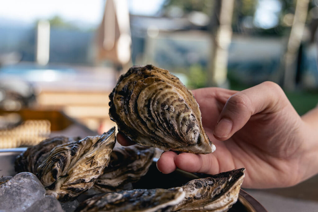 Fazenda Marinha Paraíso das Ostras