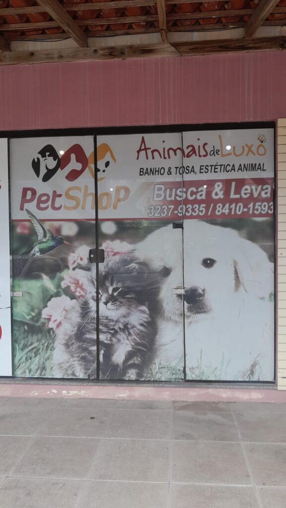 Banho e tosa Animais de luxo